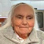 Jovem constituído arguido após abandonar 3 gatos na rua em Braga