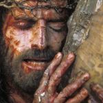 Carvalhos do PNPG são importantes para preservar a reserva da biosfera