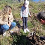 Deputado Carlos Cação reprova proposta de “nacionalização” da madeira ardida