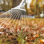 Assembleia de Freguesia aprova voto de louvor ao Centro Social e Paroquial de Lago