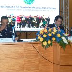 Homem e mulher detidos em Amares por furto de material de construção