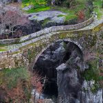 Valença lança concurso dos novos sabores da lampreia