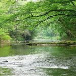 Feira Quinhentista de Vila Verde dedicada a Sá de Miranda