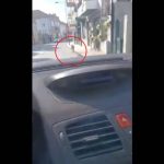 José Tolentino Mendonça ganha prémio literário Sá de Miranda