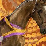 Oito lugares encantadores para visitar este verão em França