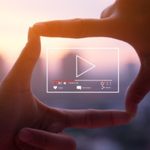 Agentes levaram quase 4 dias para apanhar 600 porcos ‘em fuga’ na Flórida