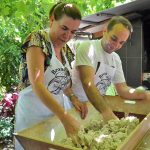 Bibliotecas são investimento no desenvolvimento consolidado dos territórios