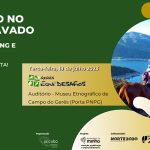 Três mulheres encarceradas após despiste ao entrar em garagem em Braga