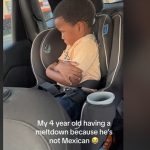 Descoberto ciclo de 36 milhões de anos que estimula a biodiversidade