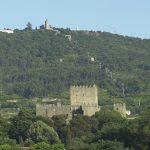 Feirante ‘apanhado’ com 50 artigos contrafeitos em Viana do Castelo