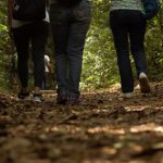 ‘Ecoriver’ encheu zona de lazer da Ribeira em Figueiredo