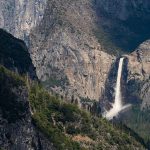 O seu gato está ‘zangado’ consigo e estes sinais comprovam-no