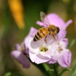 Começa hoje julgamento da derrocada de terras em Guimarães em 2013