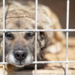 Projeto ‘Lugar Comum’ promove a multiculturalidade nas escolas de Braga