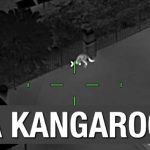 Bombeiros resgatam gato preso há dias em palmeira em Ibiza