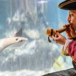 Saúde mental esteve em debate nos ‘Encontros da Biblioteca’ no ISAVE