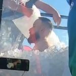 Tribunal decide dar custódia partilhada de cadela a casal que se separou