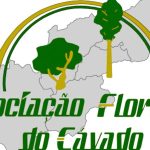 PS de Amares vota contra empreitada para iluminação pública no concelho