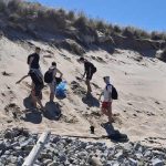 Cão ferido após “agressões” do dono que foi constituído arguido em Celorico de Basto