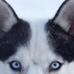 Mais de 350 estudantes do secundário fazem da UMinho a sua casa