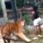 Pai perde aliança no parto de filha em autoestrada nos EUA