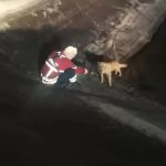 83% dos educandos utilizam o computador para estudar ou fazer os trabalhos de casa