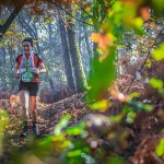 Centro Escolar de Vila Verde organiza Feira de Outono