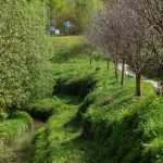Detido jovem assaltante que foi baleado por dono de ourivesaria em Ponte de Lima