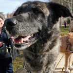 NORTE PONTUAL aprova 28 projetos de Camilo Castelo Branco num investimento de 43 mil euros