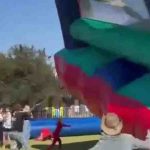 Celebrar o Dia de Portugal com animais: dicas para viajar pelo país