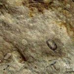 Apanhado a furtar numa escola em Viana do Castelo fica em preventiva