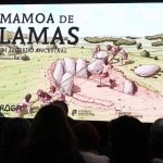 Novas formandas diplomadas pelo Centro Qualifica da EPATV