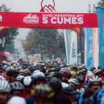 Mais de 3 mil pessoas suspeitas de abandonarem animais numa década