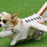 Conheça Emma, a velocista de 92 anos que tem músculos de uma jovem de 20