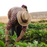 Valença premiou a celebração do amor