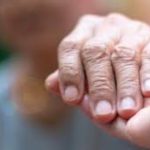 Veterinário revela todas as vacinas, desparasitações e check-ups essenciais para os patudos este ano