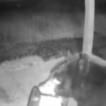 Comissária da Eva Air morre. Dias depois, companhia pede-lhe a baixa