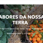 ISAVE abre novo CTeSP em Apoio em Cuidados Continuados Integrados