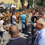 EPATV promove investigação internacional sobre Ensino Profissional, através de projeto Erasmus+