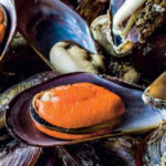 Projeto ‘Aproximar Amares’ reconhecido a nível nacional no apoio a idosos