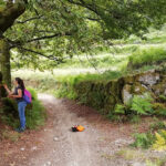 Braga vai erguer monumento ao antigo arcebispo Diogo de Sousa