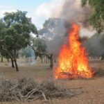 88% dos portugueses aumentam cuidados com higiene e saúde