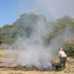 Braga celebra Dia Olímpico