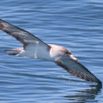 Esteticistas da EPATV são “encantadoras e exemplares”