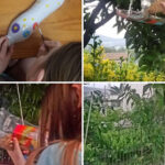 Cachupa Psicadélica apresenta “Pomba Pardal”, hoje, no Theatro Circo em Braga