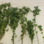 Norte com aumento de 23,4% no desemprego e exportações a cair 42,3%