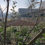 Trabalhadores do Hospital de Braga prometem continuar luta pela adesão ao ACT