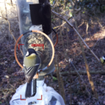 “Certificação florestal é a solução para a limpeza de terrenos privados”