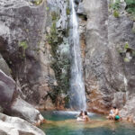 Treinador Ricardo Soares enaltece o “grande campeonato” do Moreirense