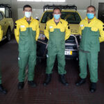 Depois de ser engolido, besouro consegue escapar do intestino dos sapos